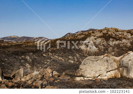 福岡縣北九州市燒田後的平尾台 福岡縣北九州市燒田後的平尾台 102223141