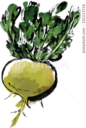 Yellow green maca watercolor style vector illustration Yellow green maca watercolor style vector illustration 102223516