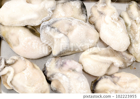 冷凍牡蠣殼 冷凍牡蠣殼 102223955