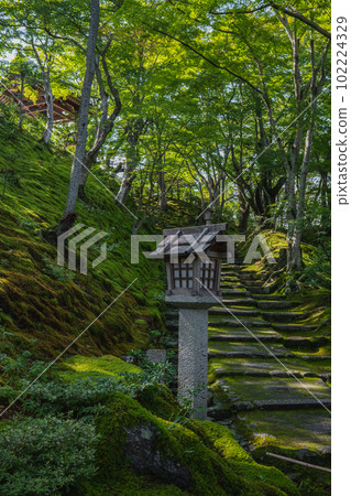Superb view of Kyoto Jojakko-ji Temple in the fresh greenery Superb view of Kyoto Jojakko-ji Temple in the fresh greenery 102224329