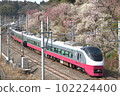 Kairakuen and Cherry Blossom 102224400