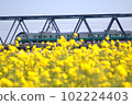 Nanohana Joban Line 102224403