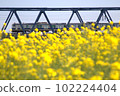 Nanohana Joban Line 102224404