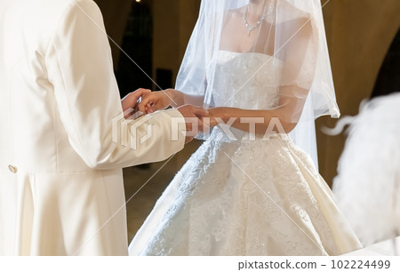 新郎新娘牽手婚禮宣誓 新郎新娘牽手婚禮宣誓 102224499