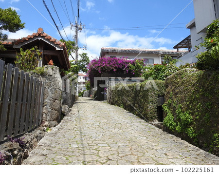 Shurikinjocho stone-paved road (Okinawa) 102225161