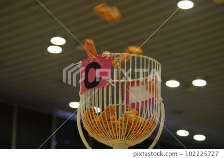 Ajata Basketball for Regional Exchange 1 102225727