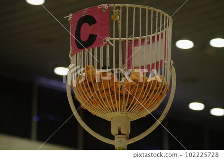 Ajata Basket 2 102225728
