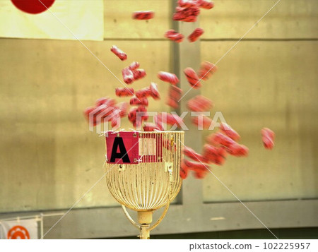 Regional exchange ball throwing that can be enjoyed by a wide range of generations 2 102225957