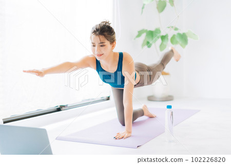 young woman online fitness image 102226820