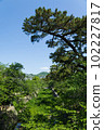 The fresh green of the Shukugawa River 102227817