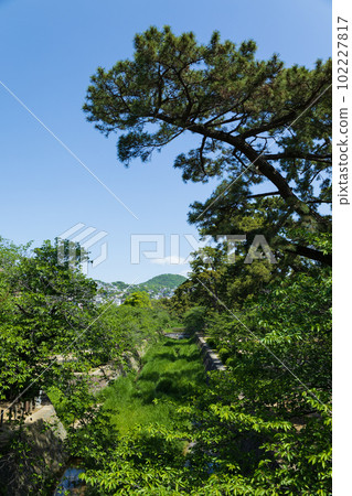 The fresh green of the Shukugawa River 102227817
