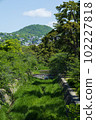 The fresh green of the Shukugawa River 102227818