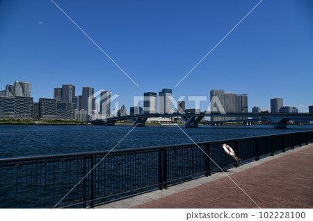 Toyosu Toyosu 102228100
