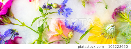 Background of frozen flowers in ice Background of frozen flowers in ice 102228630