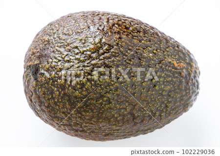 avocado, one; (white background) 102229036