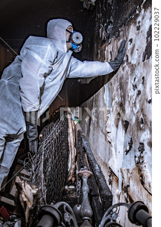 a specialist in a protective suit from a cleaning company cleans a destroyed housing after a fire 102229037