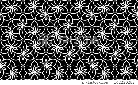 Flower geometric pattern. Seamless vector background. Black and white ornament Flower geometric pattern. Seamless vector background. Black and white ornament 102229292