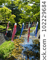 Koinobori and Shukugawa River 102229684