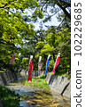Koinobori and Shukugawa River 102229685