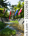 Koinobori and Shukugawa River 102229686