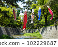 Koinobori and Shukugawa River 102229687