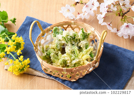 春季蔬菜天婦羅、蔬菜、蜂斗菜芽和鱈魚芽 102229817