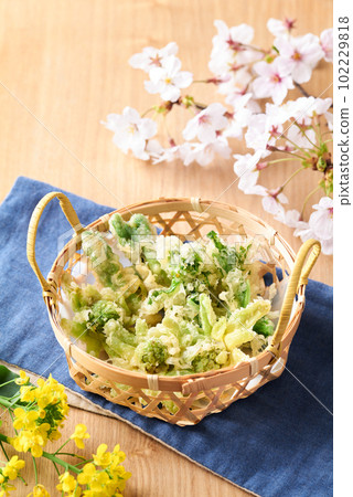 春季蔬菜天婦羅、蔬菜、蜂斗菜芽和鱈魚芽 102229818