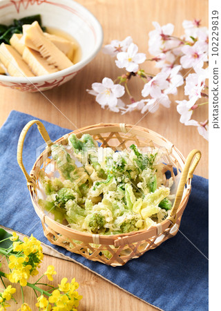 Spring vegetable tempura, greens, butterbur sprouts, and cod buds 102229819