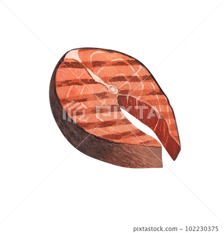 Watercolor delicious sliced grilled salmon steak BBQ. Hand-drawn illustration isolated on white background close-up. Perfect for menu cafe, restaurant, recipe book, cooking, barbecue 102230375