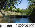 The fresh green of the Shukugawa River 102230499