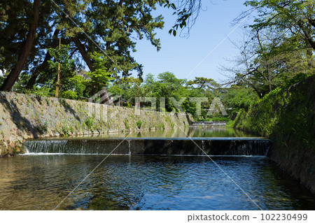 The fresh green of the Shukugawa River 102230499