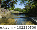 The fresh green of the Shukugawa River 102230500