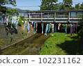 Koinobori and Shukugawa River 102231162