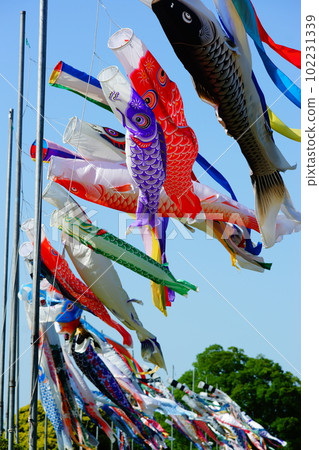    Carp streamer 102231339