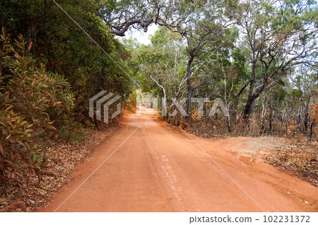 澳大利亞最北端的開普敦半島土路 102231372