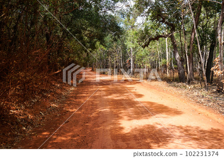 通往澳大利亞最北端約克角的公路 102231374