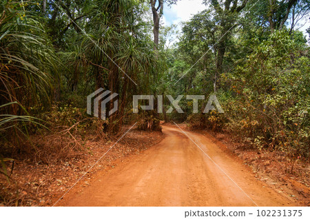 A scenic ride through the dense forests of Australia's northernmost region A scenic ride through the dense forests of Australia's northernmost region 102231375