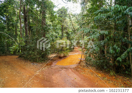 A rough road through the dense forests of Australia's northernmost region A rough road through the dense forests of Australia's northernmost region 102231377