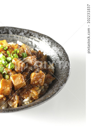Spicy mapo tofu rice bowl with plenty of small green onions and tofu shot against a white background 102231837