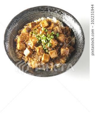 A bird's-eye view of a spicy mapo tofu bowl with plenty of small green onions and tofu on a white background A bird's-eye view of a spicy mapo tofu bowl with plenty of small green onions and tofu on a white background 102231944