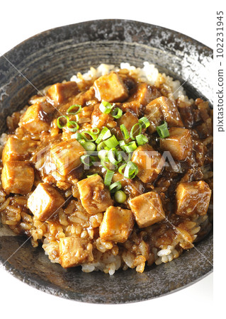 A bird's-eye view of a spicy mapo tofu bowl with plenty of small green onions and tofu on a white background A bird's-eye view of a spicy mapo tofu bowl with plenty of small green onions and tofu on a white background 102231945