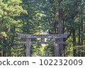 Nikko Toshogu Shrine Torii Torii 102232009
