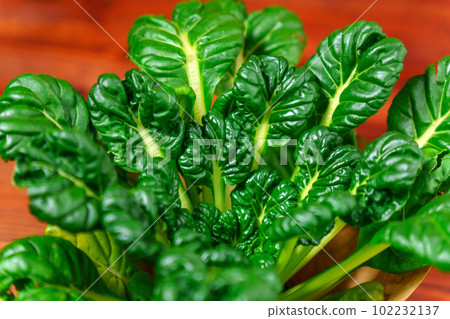 Tatsoy is an Asian variety of Brassica rapa, grown for cooking vegetables. Chinese cabbage Tatsoi. 102232137