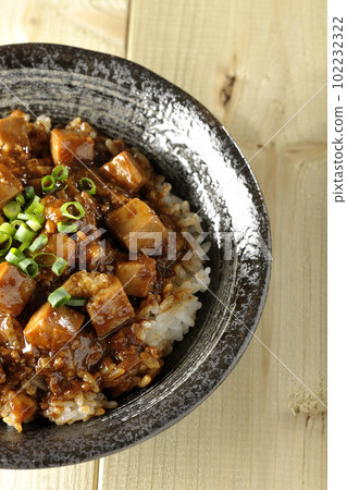 A bird's-eye view of a spicy mapo tofu bowl with lots of small green onions and tofu 102232322