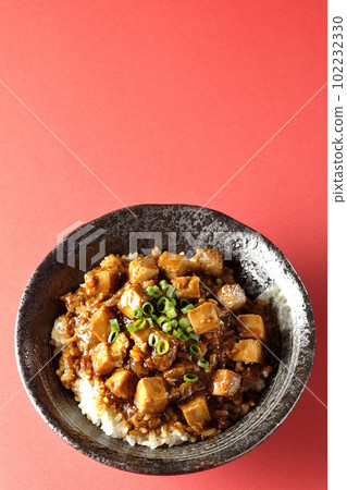 A bird's-eye view of a spicy mapo tofu bowl with lots of small green onions and tofu 102232330