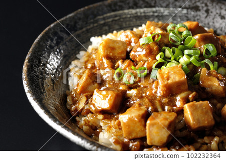 Spicy mapo tofu rice bowl with plenty of small green onions and tofu shot against a black background 102232364