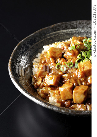 Spicy mapo tofu rice bowl with plenty of small green onions and tofu shot against a black background Spicy mapo tofu rice bowl with plenty of small green onions and tofu shot against a black background 102232375
