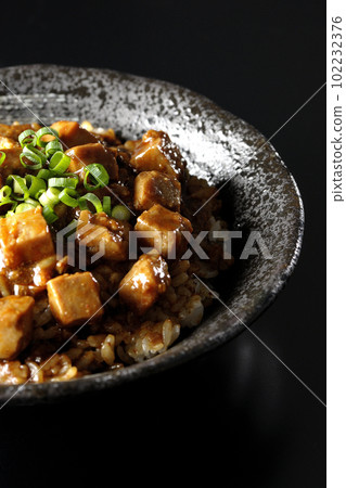 Spicy mapo tofu rice bowl with plenty of small green onions and tofu shot against a black background Spicy mapo tofu rice bowl with plenty of small green onions and tofu shot against a black background 102232376