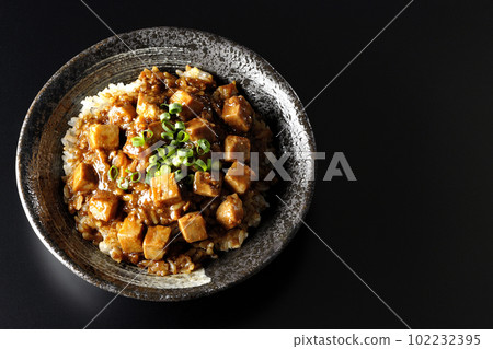 A bird's-eye view of a spicy mapo tofu bowl with plenty of small green onions and tofu on a black background 102232395