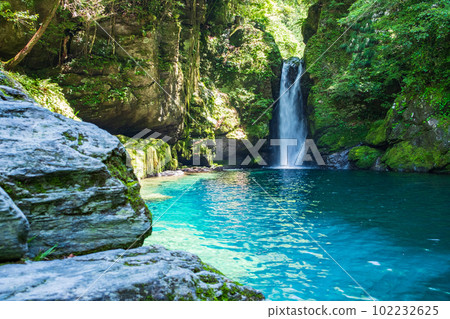 Nikobuchi (Niyodo Blue) 102232625